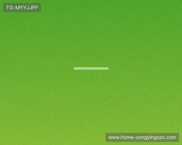 十一选五公益：助力梦想，点亮未来，共享公益之光